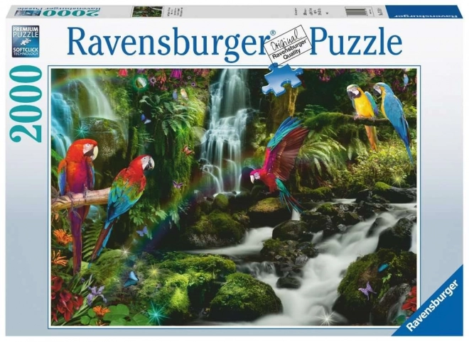 Puzzle 2000 prvků Papoušci v džungli
