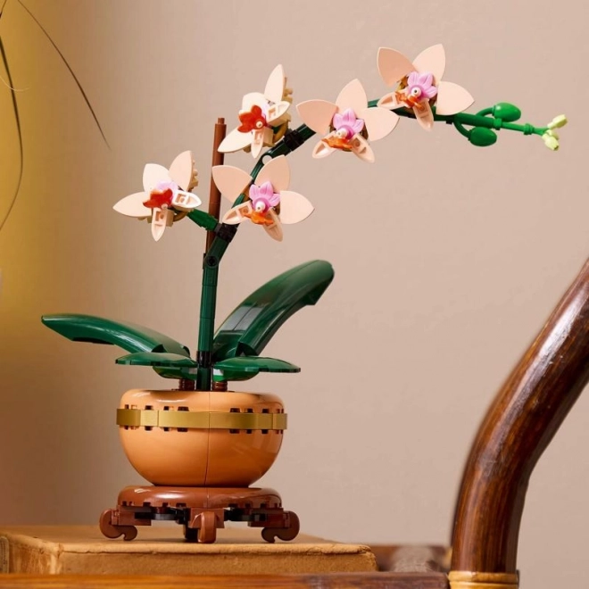 Lego Botanicals Malá Orchidej