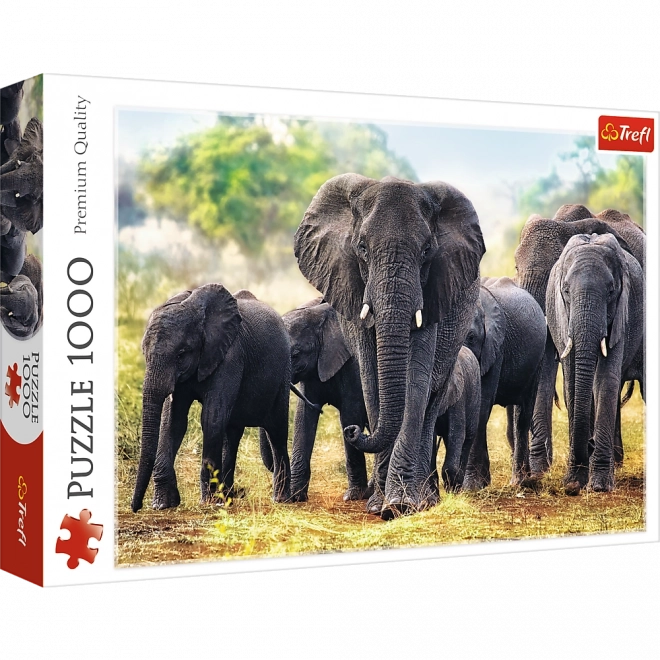 Puzzle Afričtí sloni 1000 dílků