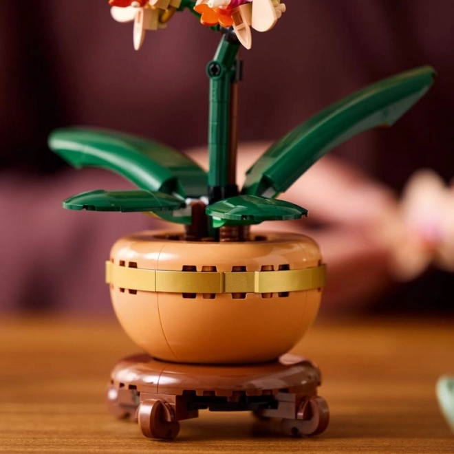Lego Botanicals Malá Orchidej