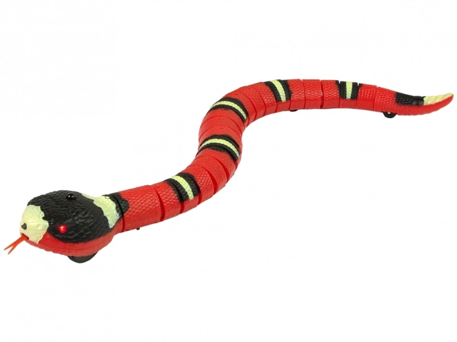 Dálkově ovládaný had Touch Red Black Stripes