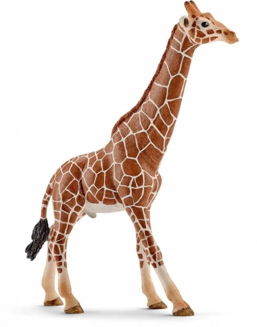 Figurka samce žirafy Schleich Wild Life
