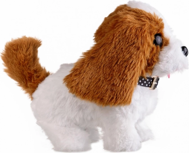 Měkký plyš a kompaktní velikost