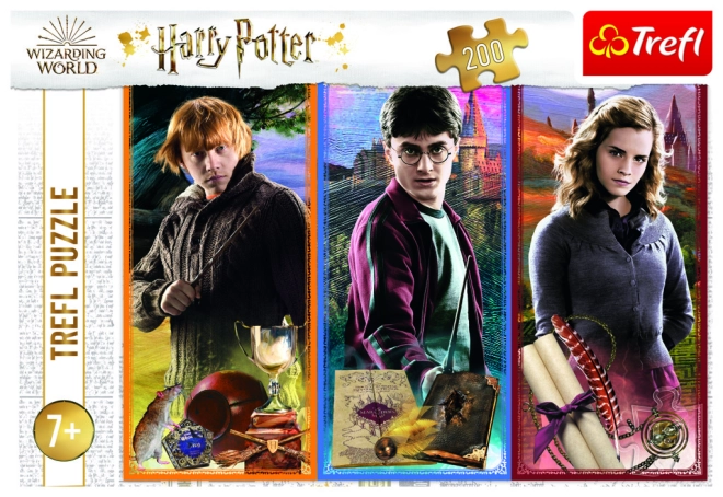 Oficiální motiv HARRY POTTER od Trefl
