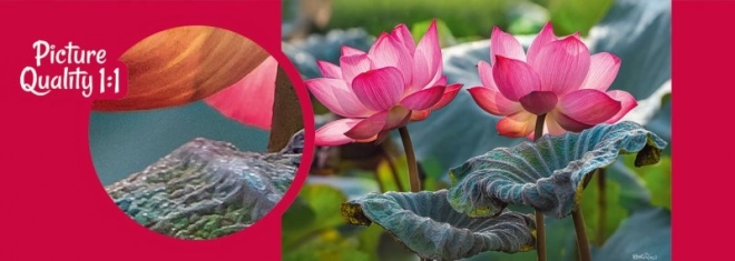 Puzzle Růžové květy lotusu 500 dílků