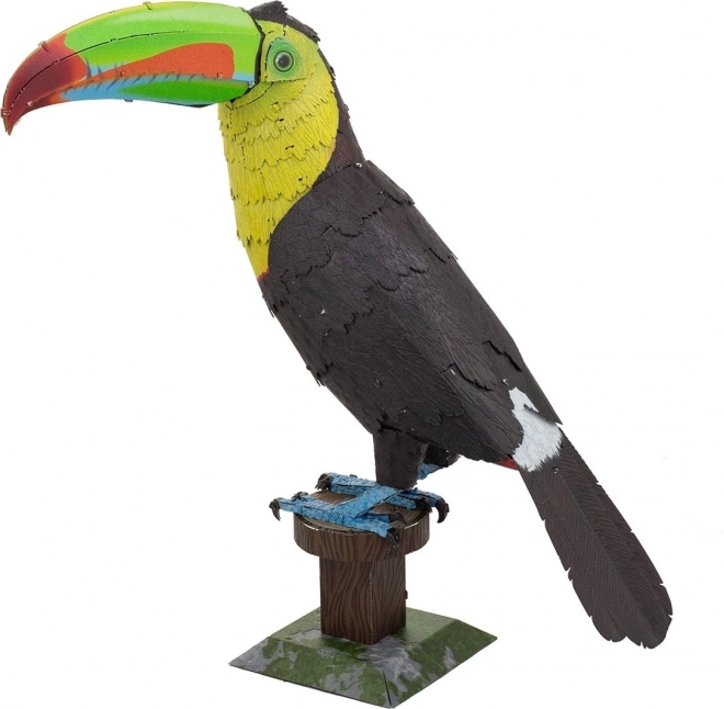 Kovový 3D puzzle Tukan krátkozobý