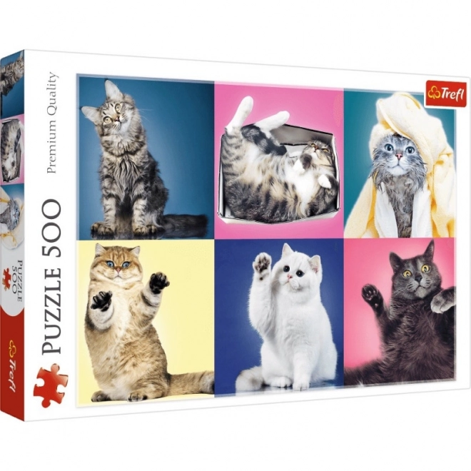 Puzzle Kocičky 500 dílků