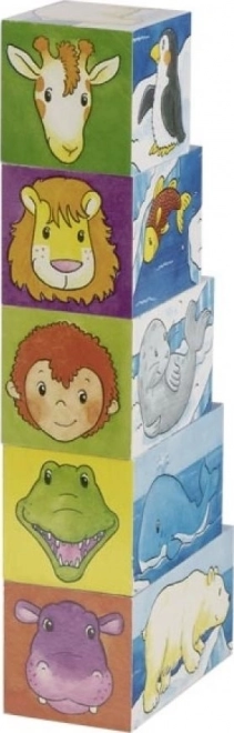 Dřevěné kostky Safari a Arktida, 5 kostek