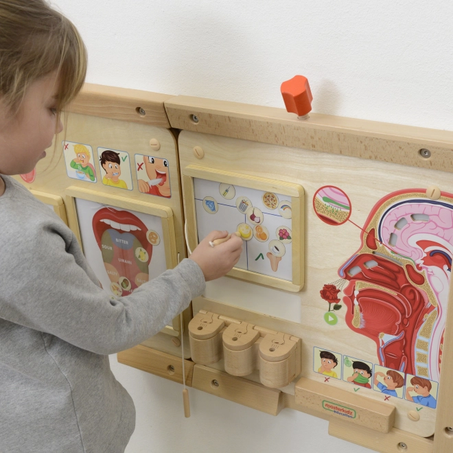 Vzdělávací tabule Montessori - Čich
