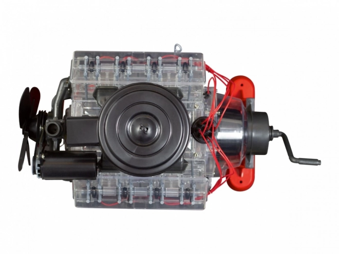 Model motoru V8 viditelný 1:4