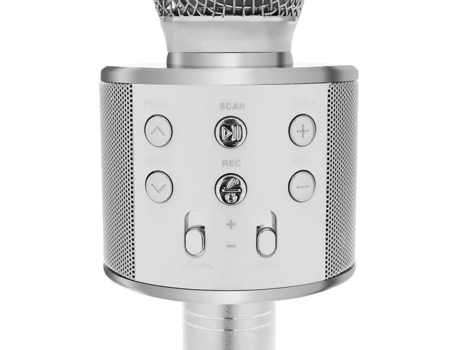 Bezdrátový karaoke mikrofon s reproduktorem – Stříbrná
