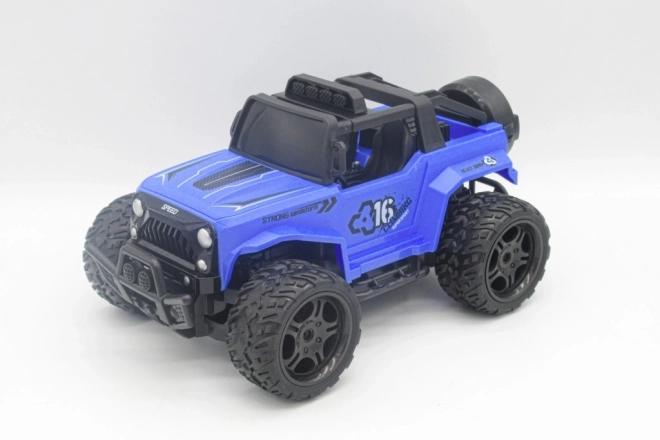 Auto 1:16 RC