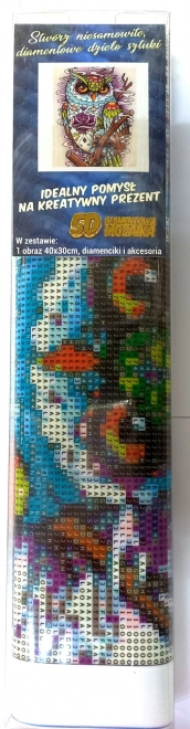 Diamantové malování moudrá sova 30x40 cm
