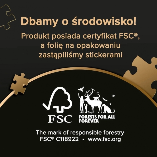 TREFL Puzzle Premium Plus Photo Odyssey: Bodeho muzeum v Berlíně 1000 dílků