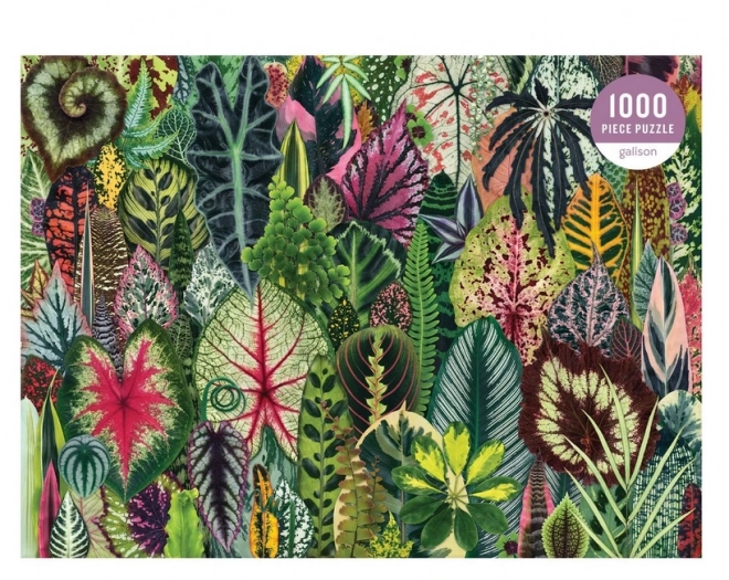 Puzzle džungle pokojových rostlin 1000 dílků