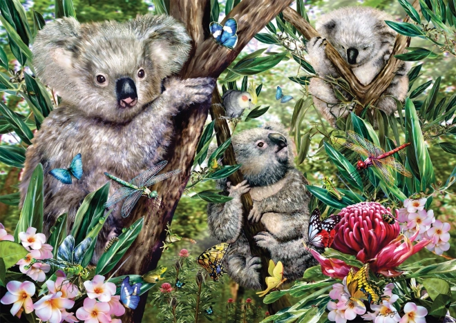 Puzzle Koalí rodinka 500 dílků
