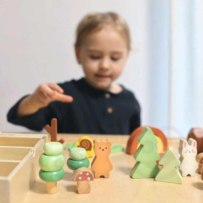 Lesní sada s dřevěnými kostkami Tooky Toy