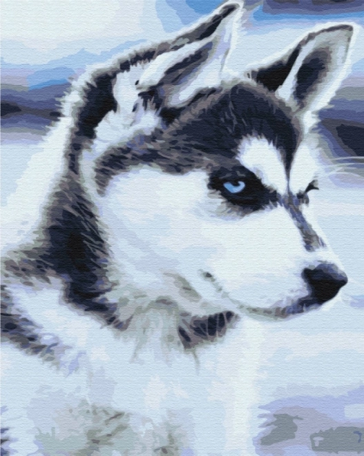 Obrázek Namaluj to! Štěně huskyho