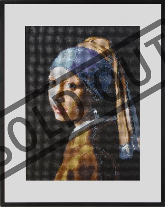 Malování pomocí kamínků Diamond painting 40x50 cm Dívka s pe