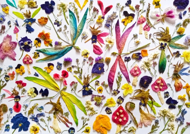 Puzzle Víly a Vážky 1000 dílků