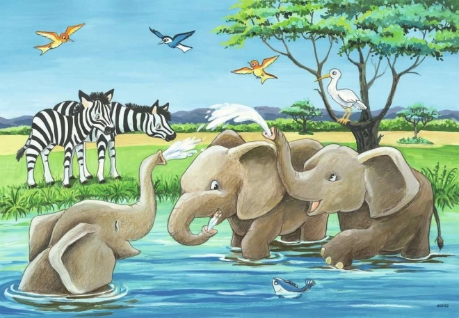 RAVENSBURGER Puzzle Mláďata zvířat 2x12 dílků
