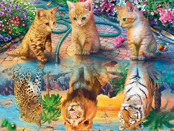 Norimpex diamantové malování kočičí sny 30x40 cm