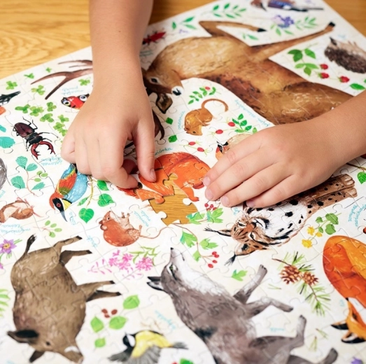 Velká, detailní ilustrace plná zvířat