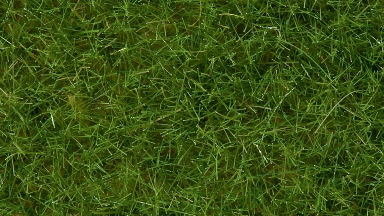 Statická tráva divoká světle zelená 6 mm Noch