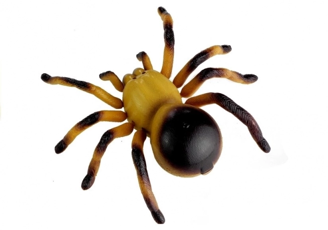 Zábavný zdaleka ovládaný pavouk tarantula