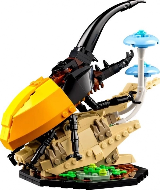 LEGO® Ideas 21342 Hmyzí kolekce