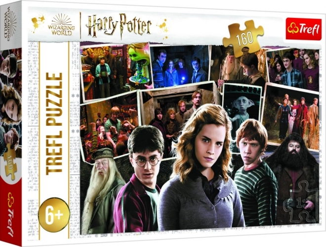 Puzzle Harry Potter a přátelé