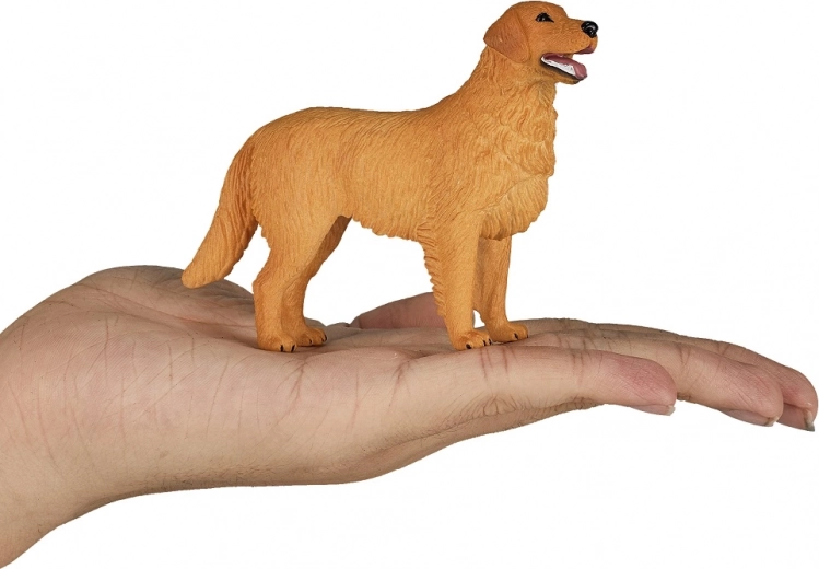 Praktická střední velikost