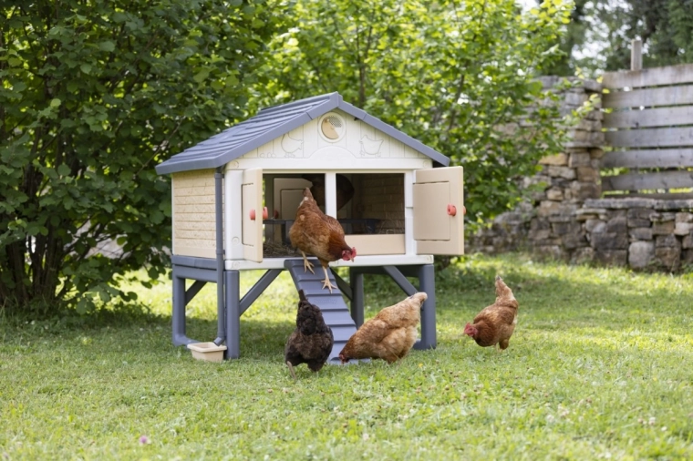 Komfort pro slepice po celý rok