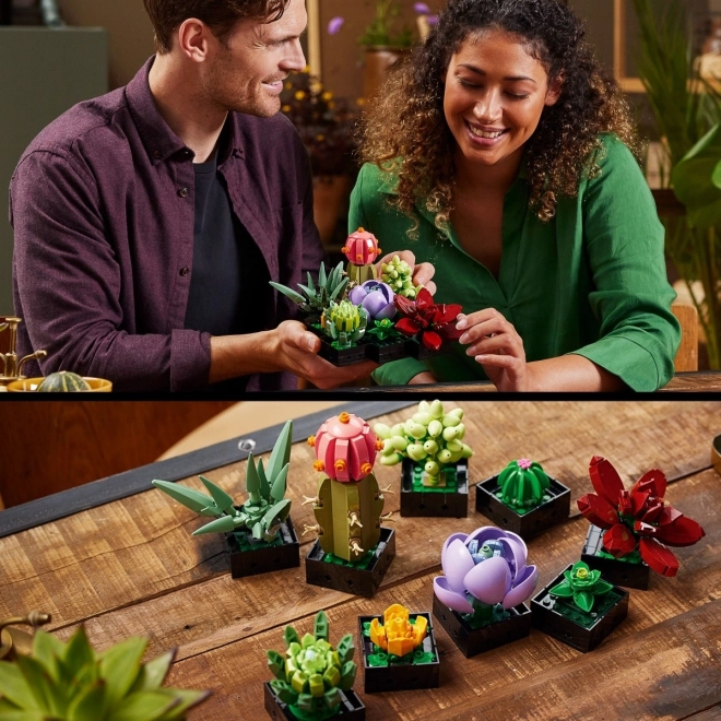 LEGO Botanické ikony 10309 Sukulenty