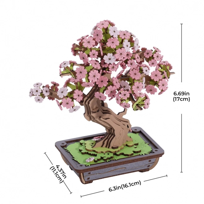 3D dřevěná skládačka Bonsai Sakura