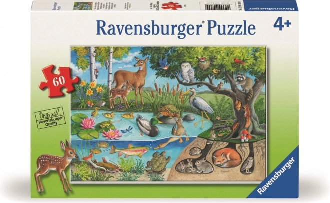 Puzzle zvířata na zemi i pod ní – tajemství přírody 60 dílků