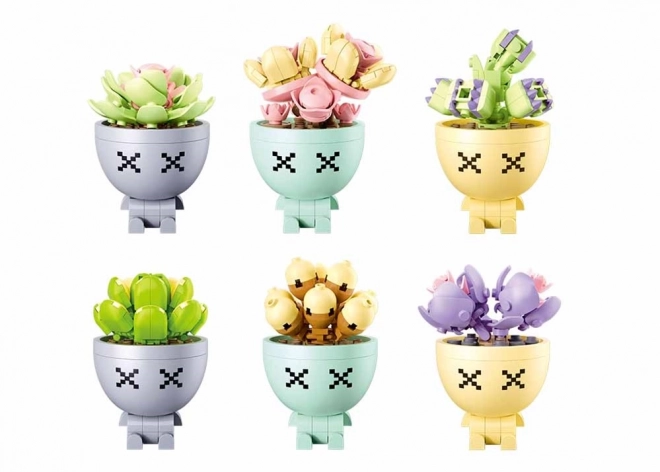 Sukulenty ve květináči Sluban Flowers