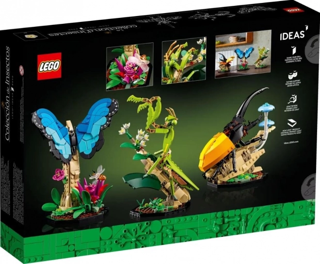 LEGO® Ideas 21342 Hmyzí kolekce