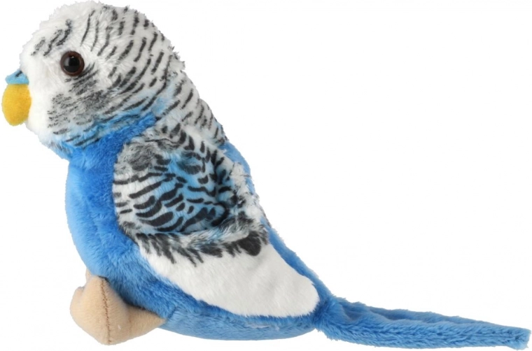 Realistické detaily peří a vzhledu