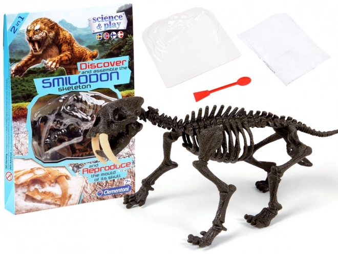 Clementoni Smilodon - Skládací kostra šavlozubého tygra