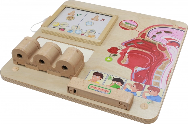 Vzdělávací tabule Montessori - Čich