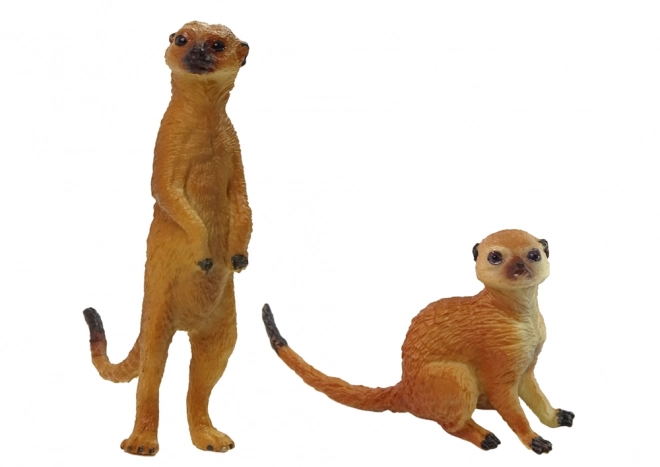 Sada 2 figurek zvířat světa Surykatka