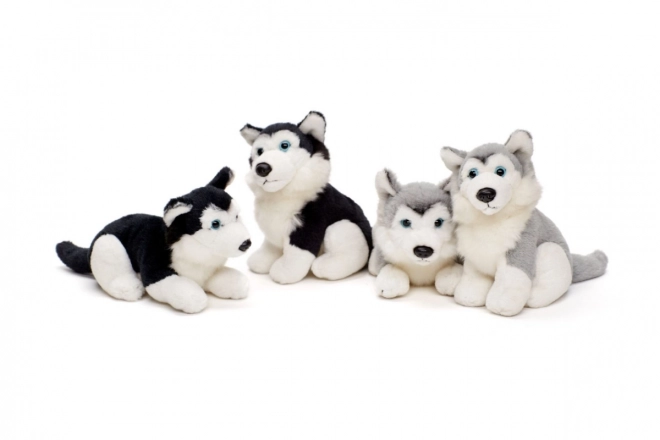 Plyšový husky 15 cm