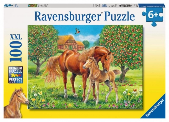 Puzzle Koně na pastvině XXL