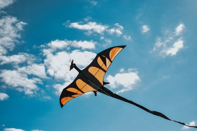 Létající drak Pterodaktyl 170 x 90 cm