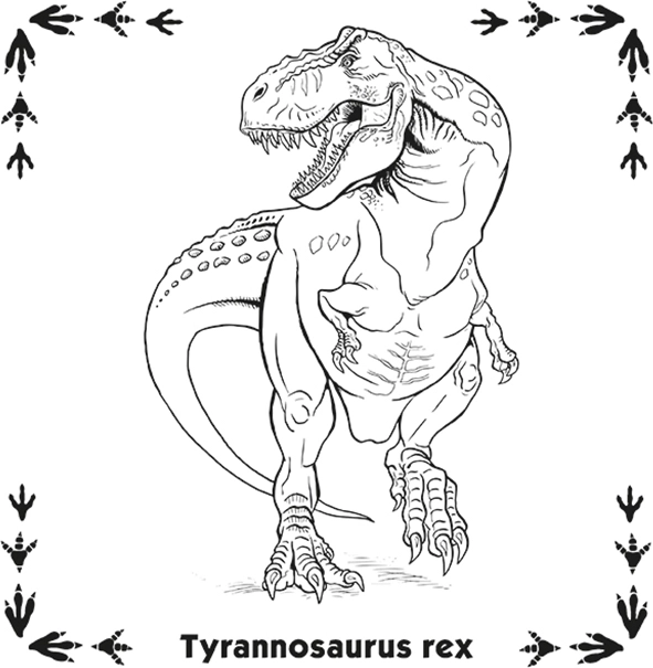 Pexeso Dinosauři
