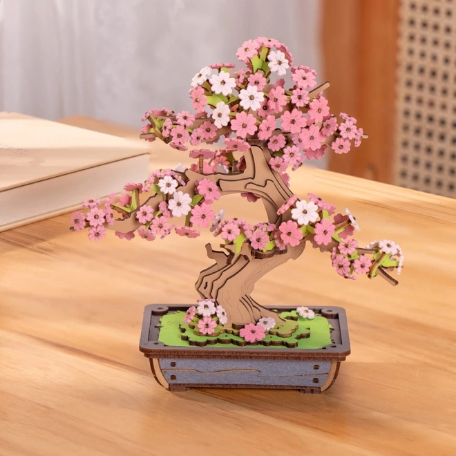 3D dřevěná skládačka Bonsai Sakura