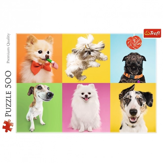 Puzzle 500 kusů Psi