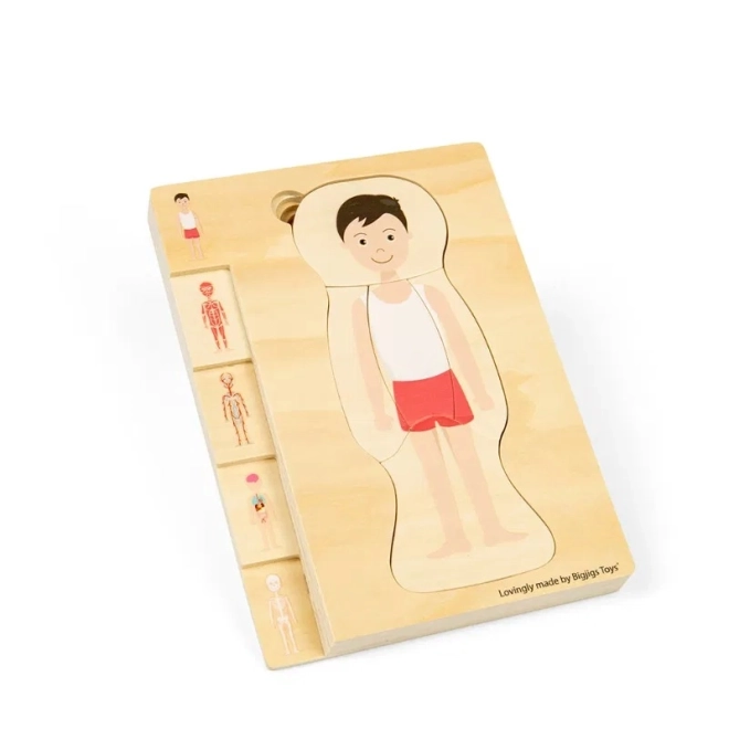 Dřevěné puzzle anatomie - chlapec