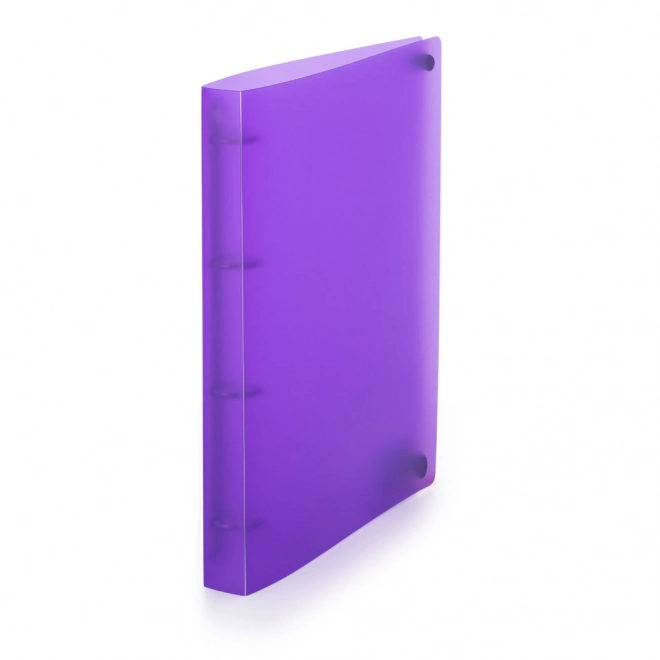 Kroužkový pořadač A4 Opaline fialová